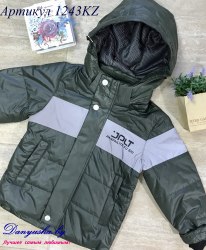 Деми куртка на мальчика модель - 1243KZ
