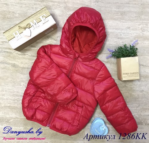 Куртка деми на мальчика модель - 1286KK