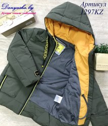 Деми куртка на мальчика модель - 1297KZ