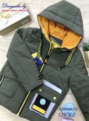 Деми куртка на мальчика модель - 1297KZ