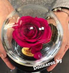 Роза в стеклянной колбе (ярко-розовая) Mini