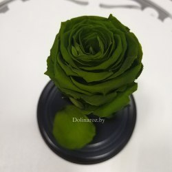 Роза в стеклянной колбе (зеленая) Mini