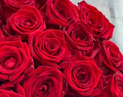 Букет роз "Сказка" 21 роза