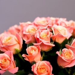 Букет роз "Мисс" 25 роз