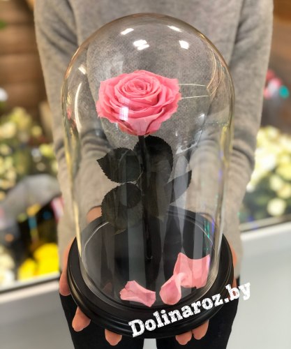 Роза в стеклянной колбе (розовая) Premium