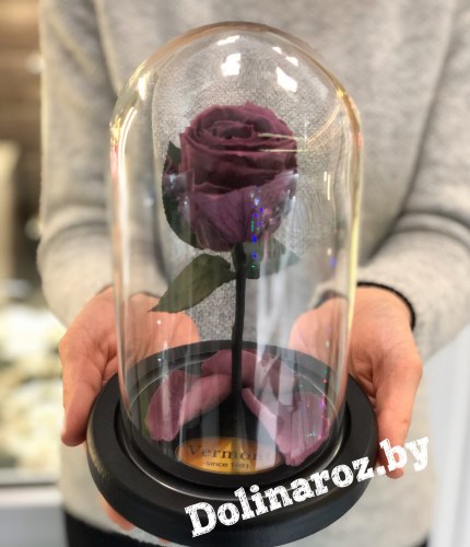 Роза в стеклянной колбе (сливовая) Mini
