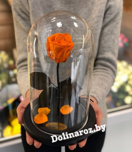 Роза в стеклянной колбе (оранжевая) Standart