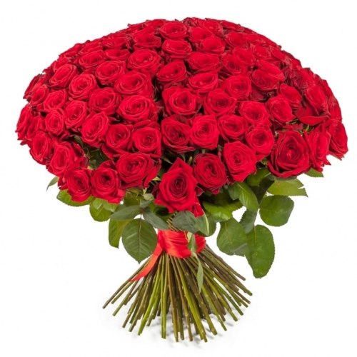 Букет роз "Шикардос" 151 роза