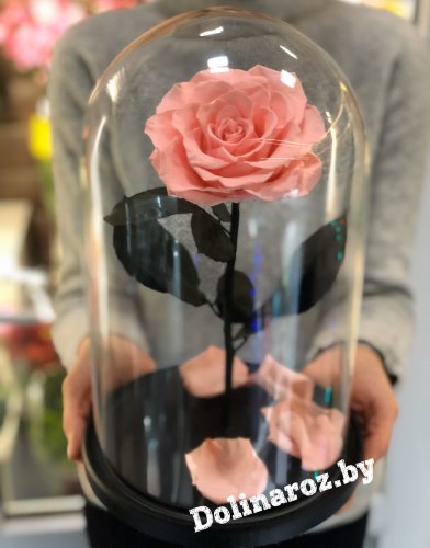 Роза в стеклянной колбе (розовая) VIP