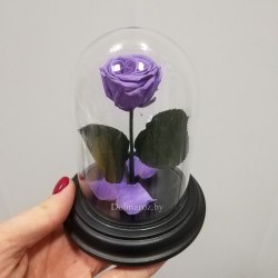 Роза в стеклянной колбе (цвет на выбор) SuperMini
