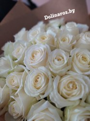Букет роз "Блонд" 25 роз