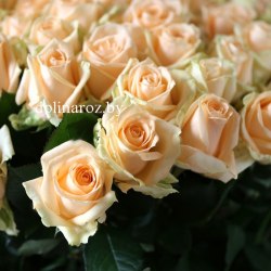 Букет роз "Прелесть" 101 роза
