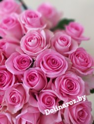 Букет роз "Герда" 31 роза