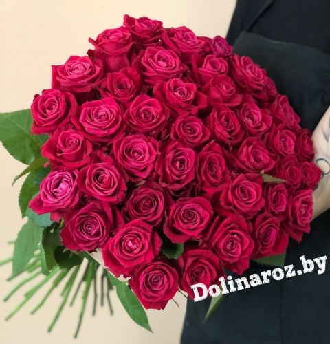 Букет роз «Шакира» 41 роза