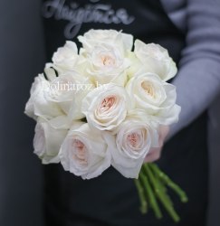 Пионовидная роза Уайт Охара (White Ohara)