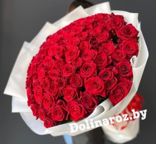 Букет роз "Бордовый закат" 101 роза