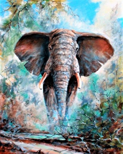 Картина для раскрашивания по номерам "Слон" (40*50)