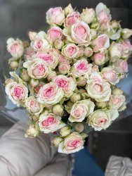 Кустовая роза Динара (Dinara)