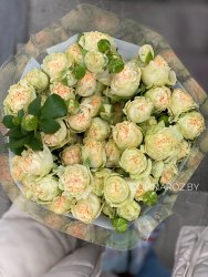 Кустовая роза Саммэр Роуз (Summerrose) пионовидная
