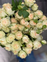 Кустовая роза Саммэр Роуз (Summerrose) пионовидная