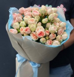 Кустовая роза Инжир Кристин