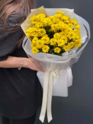 Хризантема Сантини желтая ромашка