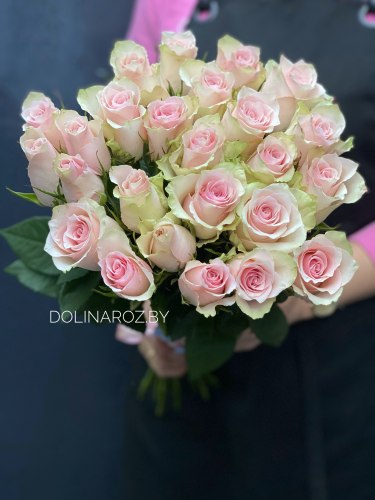 Букет из роз "Пинк Атена 25" 25 роз