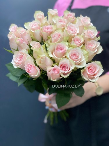 Букет из роз "Пинк Атена 25" 25 роз