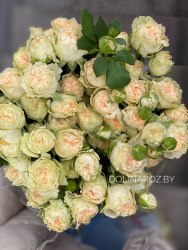 Кустовая пионовидная роза Саммэр Роуз (Summerrose)