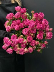 Кустовая пионовидная роза Классик Сенсейшн (Classic Sensation) пионовидная