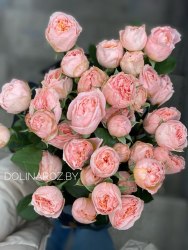 Кустовая пионовидная роза Джоржиа Пич (Georgia Peach)