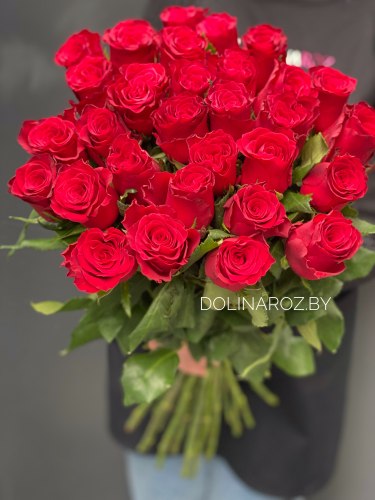 Букет роз "Родос 31" 31 роза