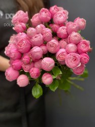 Кустовая пионовидная роза Сильва Пинк (Silva Pink)
