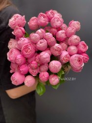 Кустовая пионовидная роза Сильва Пинк (Silva Pink)