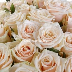 Букет роз "Чудный" 31 роза