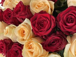 Букет роз "Благодарю" 31 роза