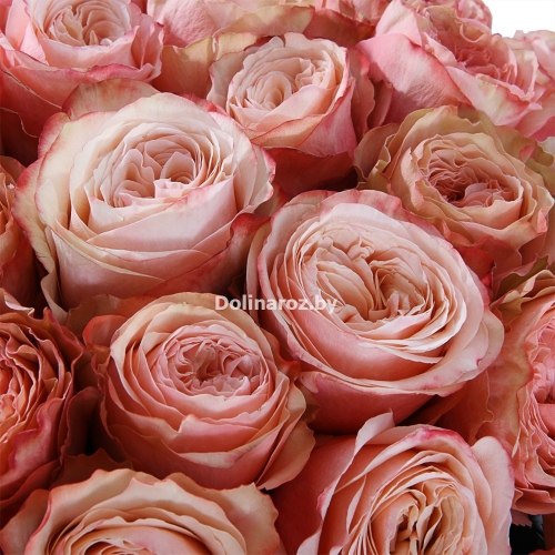 Букет роз "Необычный" 31 роза