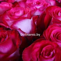 Букет роз "Конфетка" 31 роза