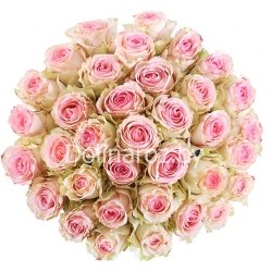 Букет роз "Эсперанса" 51 роза