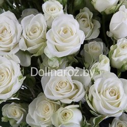 Букет роз "Белым бело" Кустовые розы
