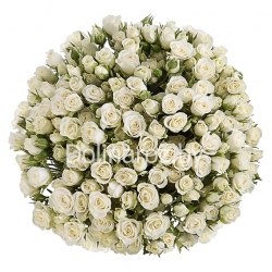Букет роз "Белым бело" Кустовые розы