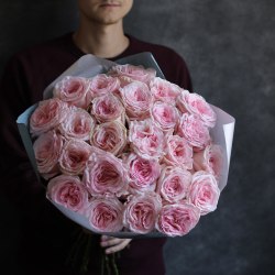 Пионовидная роза Пинк Охара (Pink O'hara)