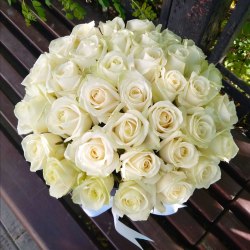 Коробка с белыми розами (35 роз)