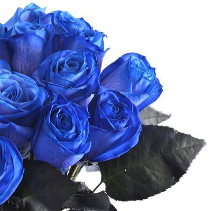 Розы "Синие"