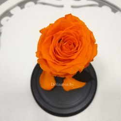 Роза в стеклянной колбе (оранжевая) Mini
