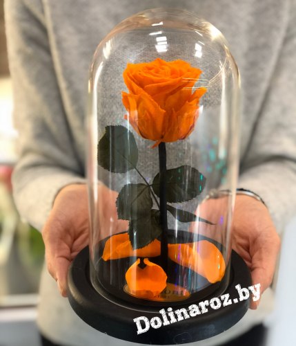 Роза в стеклянной колбе (оранжевая) Mini