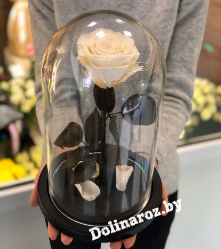 Роза в стеклянной колбе (белая) Premium