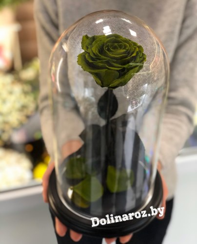 Роза в стеклянной колбе (зеленая) Premium