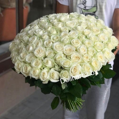 Букет роз "White" 101 роза