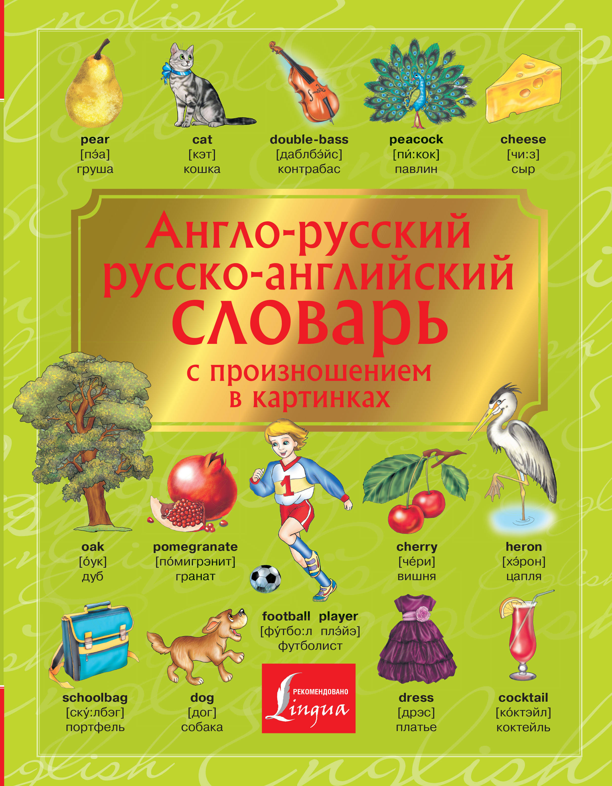 Книга "Англо-русский. Русско-английский словарь с произношением в ...